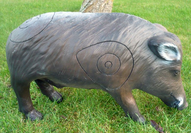 TIR DEPARTEMENTAL 3D